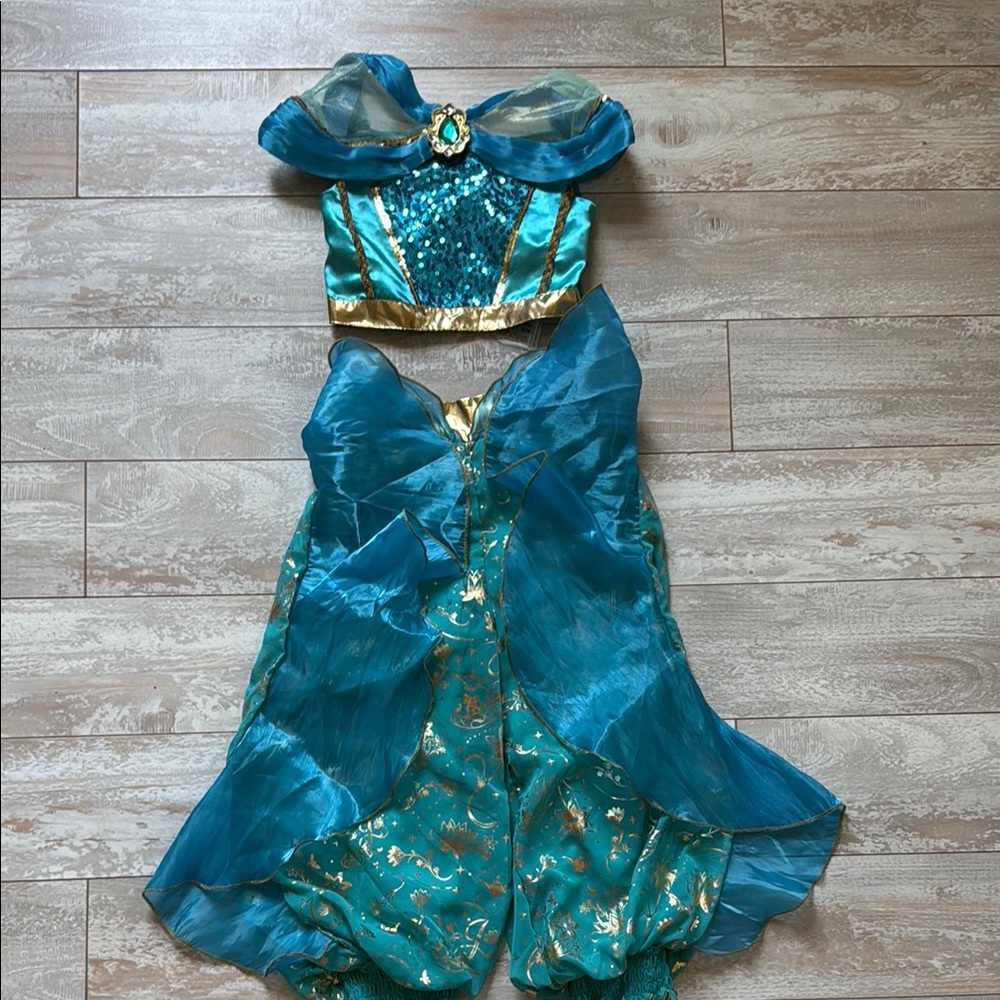 Disney world princess jasmine costume
